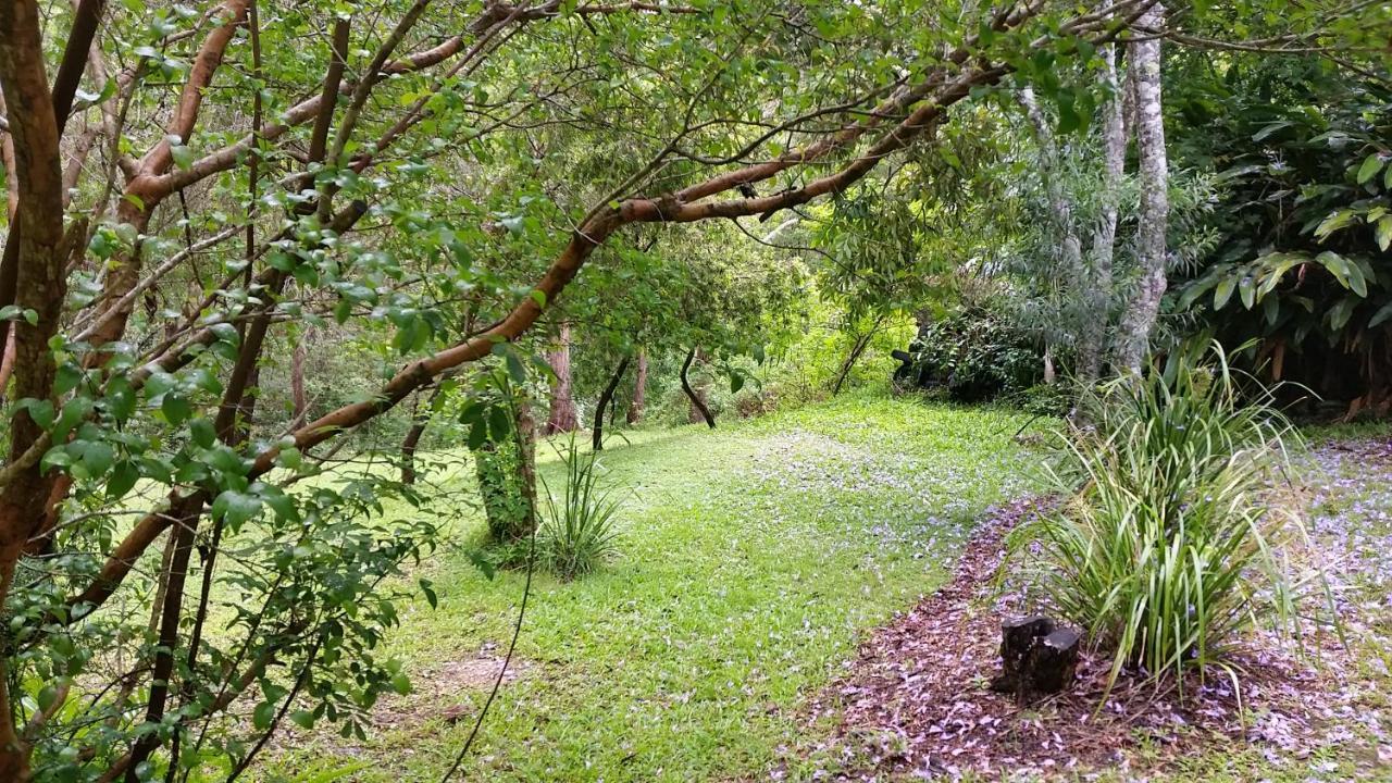 Forest View Bungalow Nambucca Heads Exteriör bild