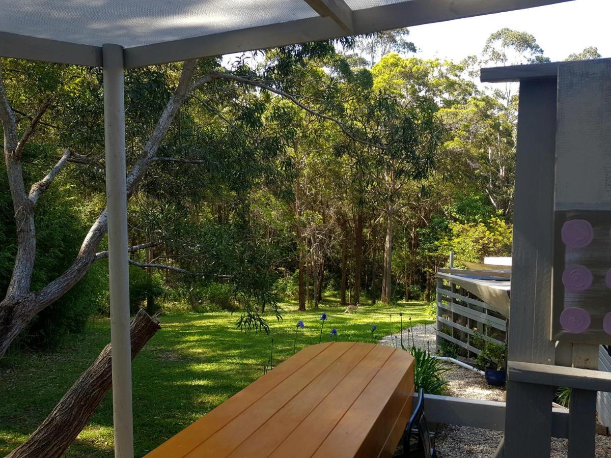 Forest View Bungalow Nambucca Heads Exteriör bild