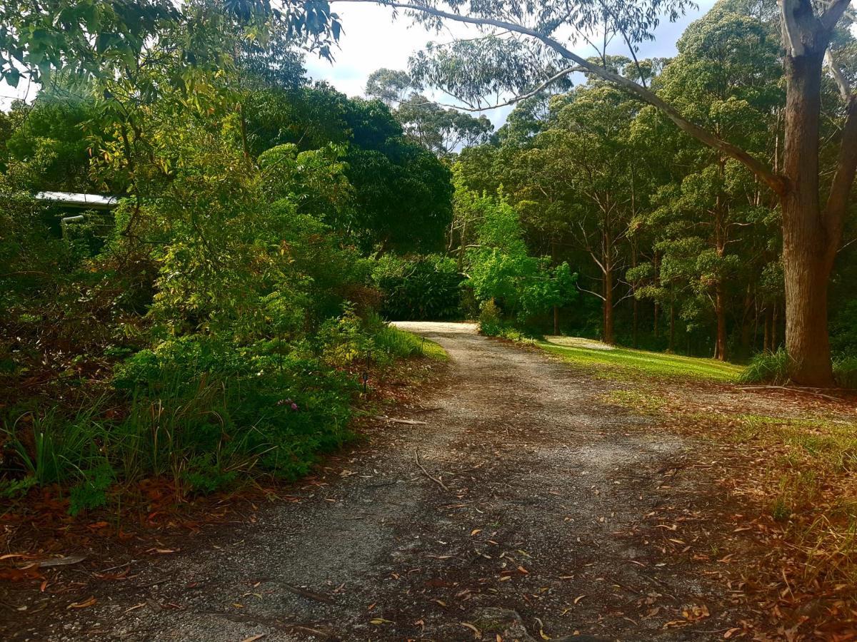 Forest View Bungalow Nambucca Heads Exteriör bild