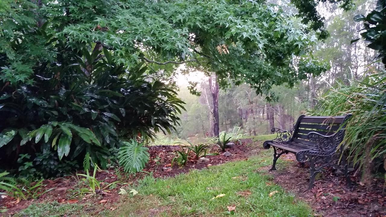 Forest View Bungalow Nambucca Heads Exteriör bild