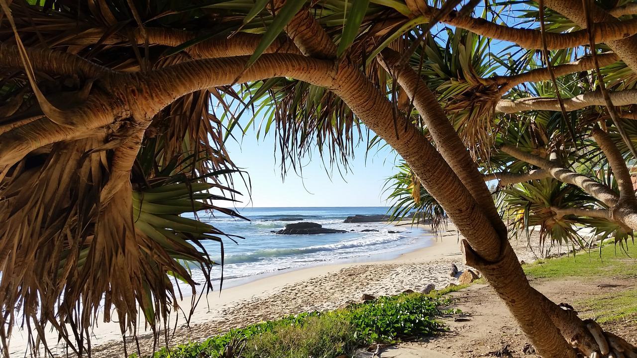 Forest View Bungalow Nambucca Heads Exteriör bild