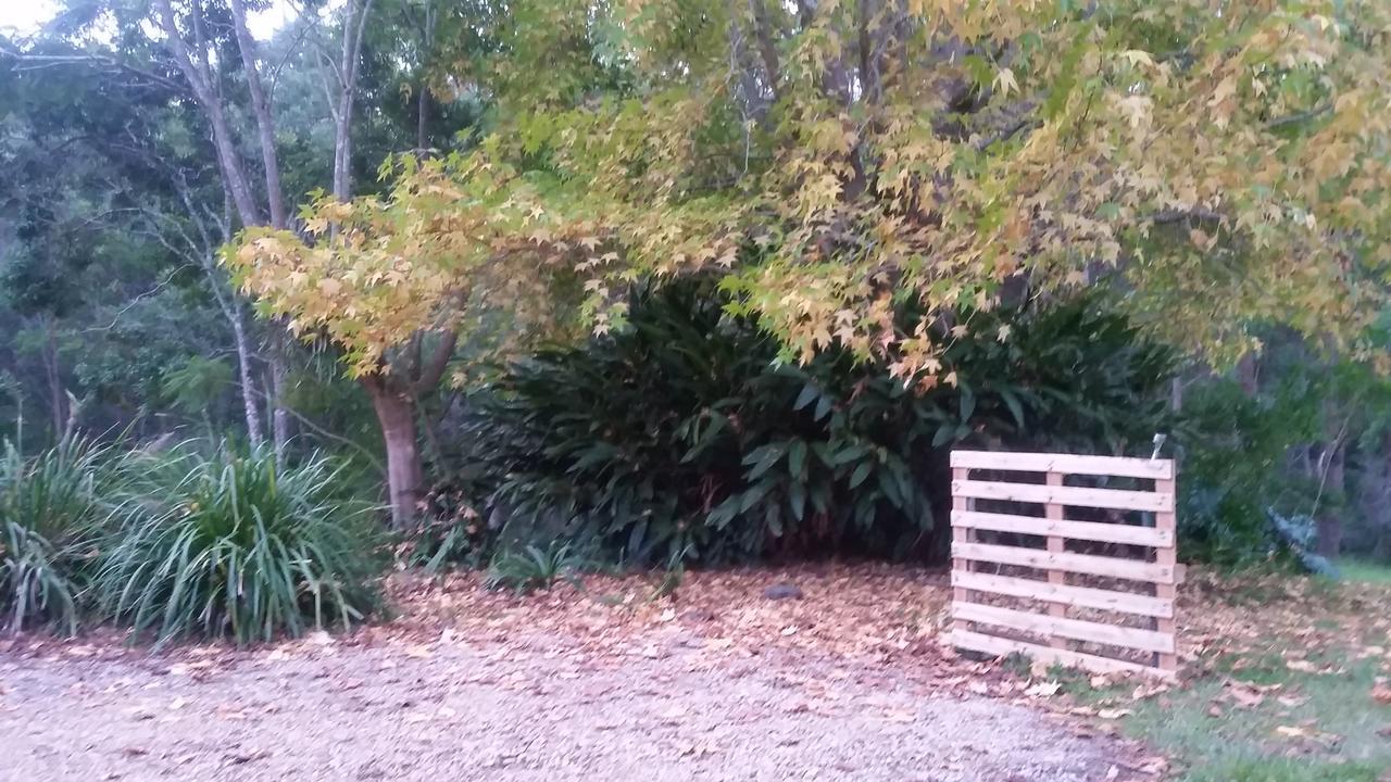 Forest View Bungalow Nambucca Heads Exteriör bild