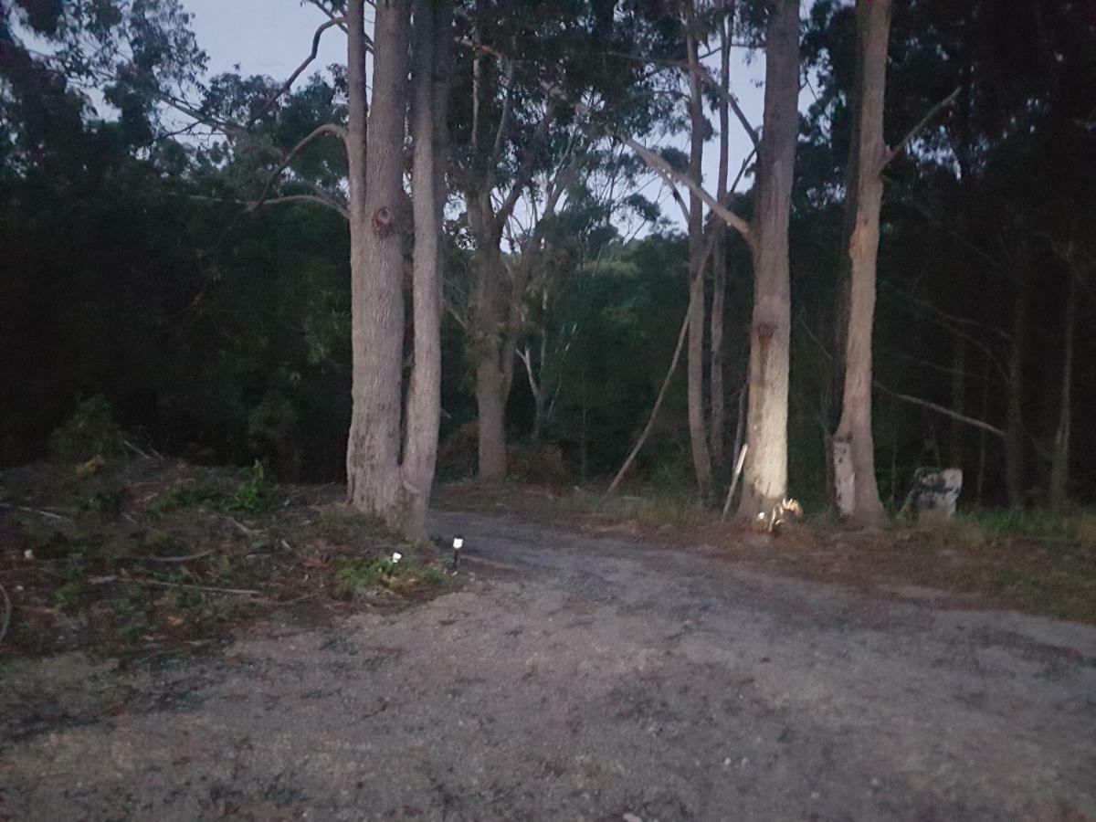 Forest View Bungalow Nambucca Heads Exteriör bild